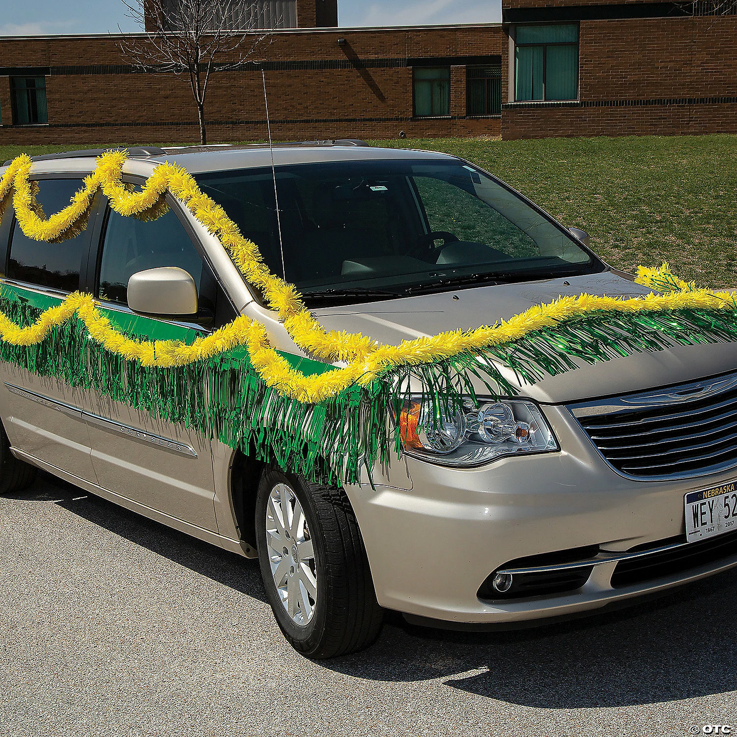 Metallic Fringe - Image 3