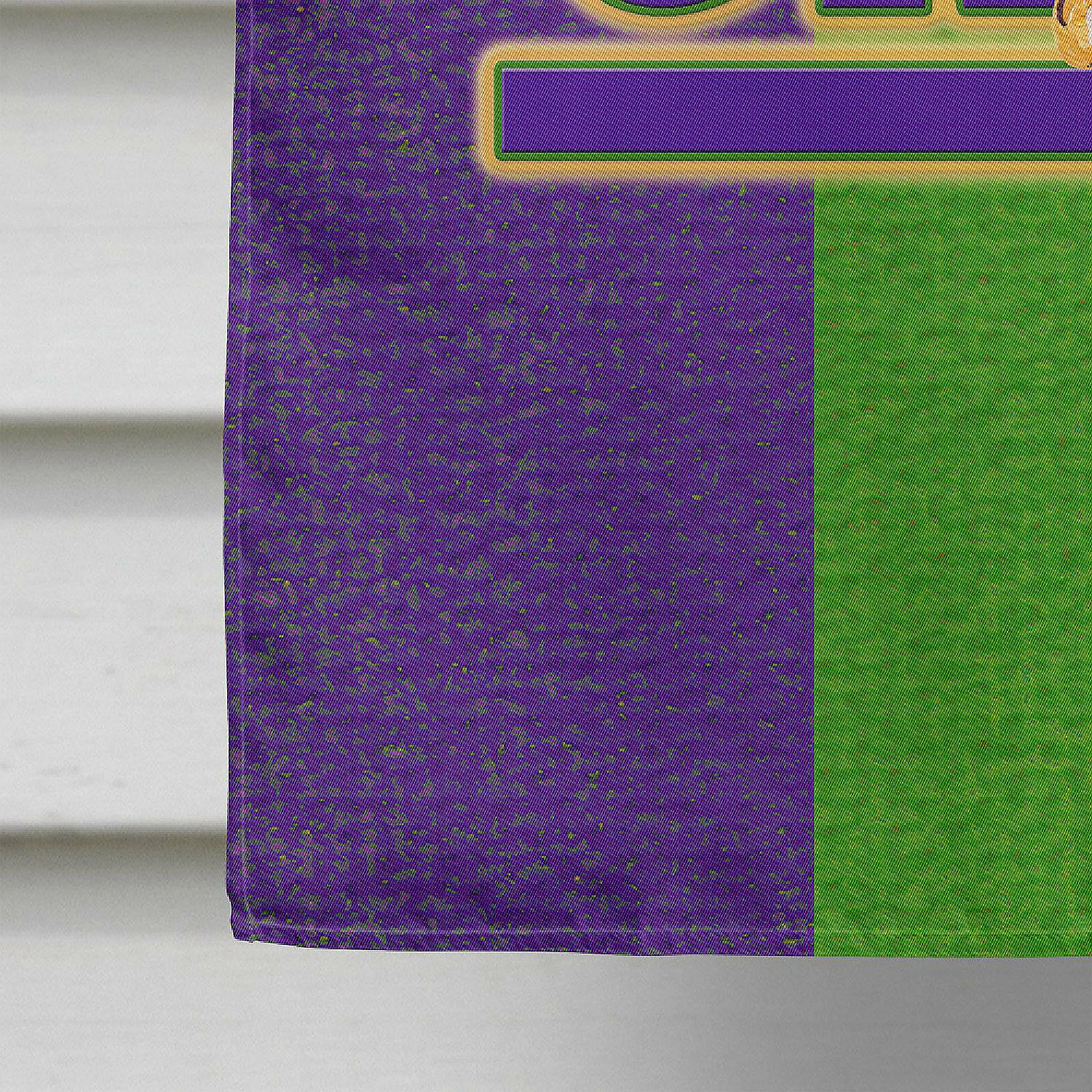 Caroline's Treasures Mardi Gras, Mardi Gras Flag Canvas House Size, 28 x 40, New Orleans - Image 4